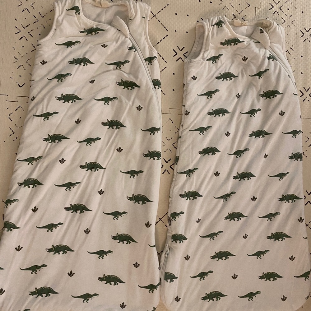 Kyte Baby Sleep Sack/ Bag 1.0 0-6 M Dinos SET OF TWO